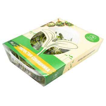 Zelen Sunflower Sprouts 50g - buy, prices for METRO - photo 1