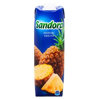 Нектар Sandora Ананас 0,95л - купить, цены на AlcoHub - фото 3