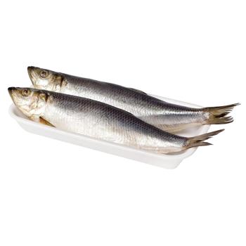 Сельдь Дунайская свежая - купить, цены на КОСМОС - фото 1