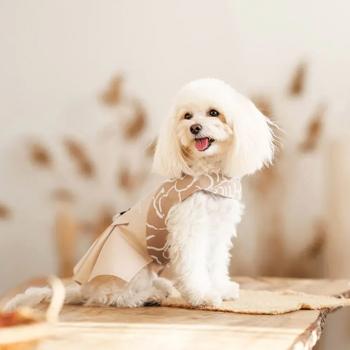 Pet Fashion Lily Sundress for Dogs s.XS - buy, prices for MasterZoo - photo 4
