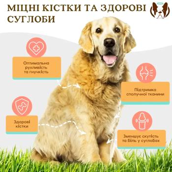 Natural Dog Company Hip&Joint Vitamins for Dogs to Strengthen Joints and Ligaments 90pcs - buy, prices for MasterZoo - photo 2