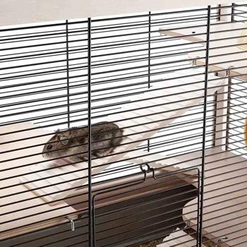 Ferplast Hamsterville Rodent Cage 60x34x49cm - buy, prices for MasterZoo - photo 4