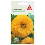 Agrocontract Decorative Sunflower Teddy Bear Seeds 20pcs