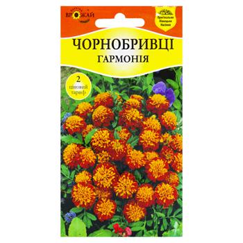 Bahatiy Vrozhay Marigolds Harmony Seed 0.5g - buy, prices for COSMOS - photo 1