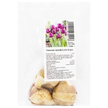 Bulit Triumph Tulip Bulbs 3pcs - buy, prices for - photo 3