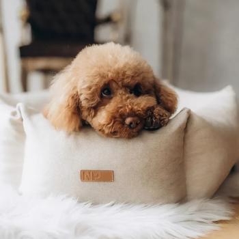 Лежак Noble Pet Paul 65см пісочний - купити, ціни на MasterZoo - фото 8