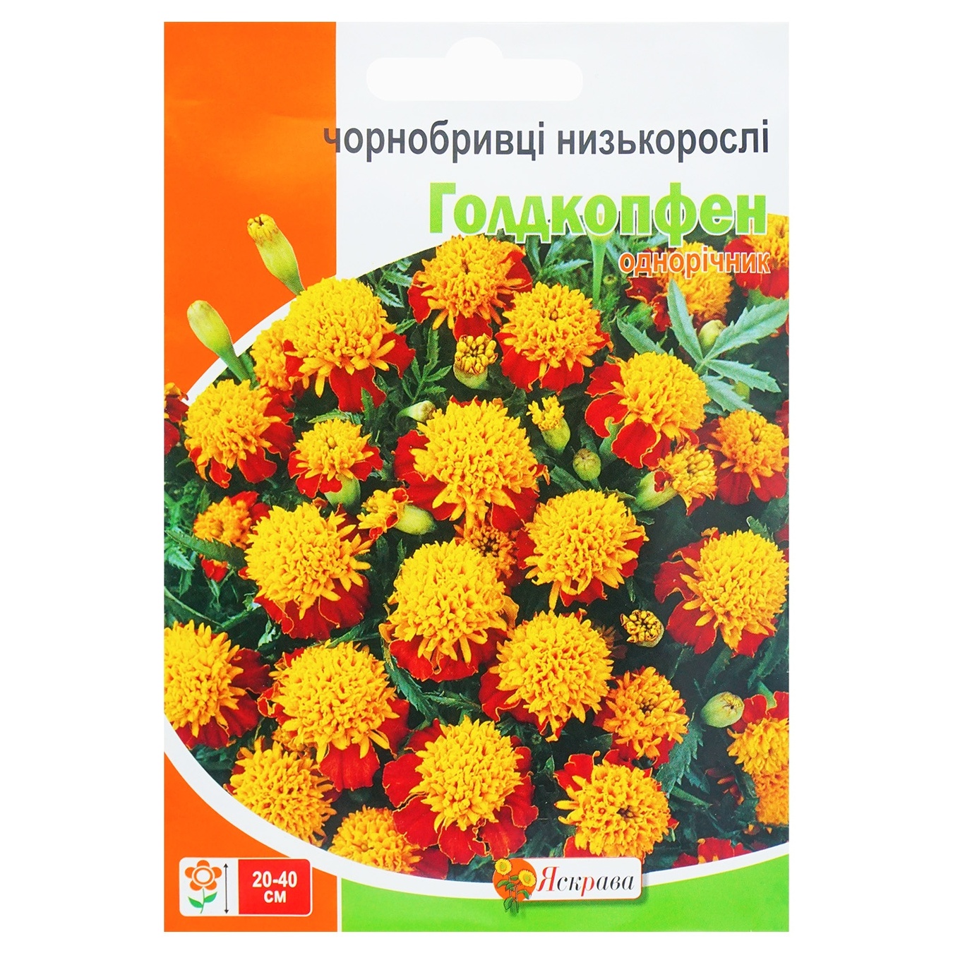 

Цветы Яркая Бархатцы Голдкопфен 5г