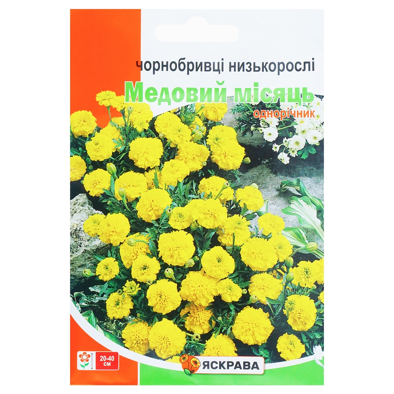 

Цветы Яскрава Бархатцы Медовый месяц 5г