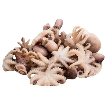 Vici Octopus Baby Peeled Fresh Frozen 40/60 - buy, prices for ULTRAMARKET - photo 1