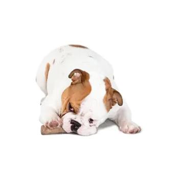Toy Petstages - buy, prices for MasterZoo - photo 2