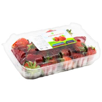 Fresh Strawberry 250g - buy, prices for NOVUS - photo 7