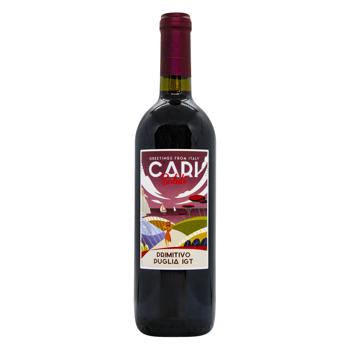 Вино Cari Saluti Primitivo червоне сухе 13,5% 0,75л - купити, ціни на МегаМаркет - фото 1