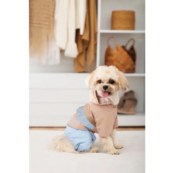 Дощовик для собак Pet Fashion Tina р.ХS - купити, ціни на MasterZoo - фото 6