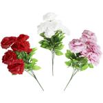 Троянда кущ 50см 3 кольори
