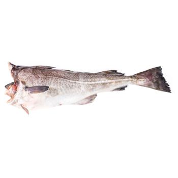 Chilled Cod Carcass - buy, prices for METRO - photo 1