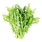 Салат Руккола