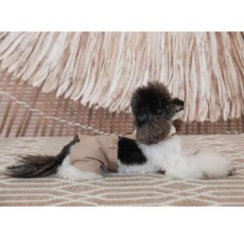 Shorts Pet fashion Ukraine - buy, prices for MasterZoo - photo 8