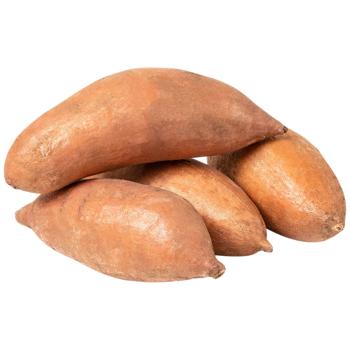 Sweet Potato - buy, prices for Epicentr FOOD - photo 1