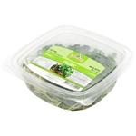 ZeleNenka Radis Microgreen