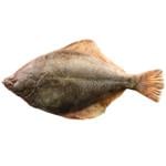 Flounder 400-600g