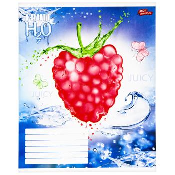 Mriyi zbuvayutʹsya Notebook in oblique line 12 sheets in stock - buy, prices for - photo 3