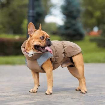 Жилет для собак Pet Fashion Chip р.S - купити, ціни на MasterZoo - фото 6