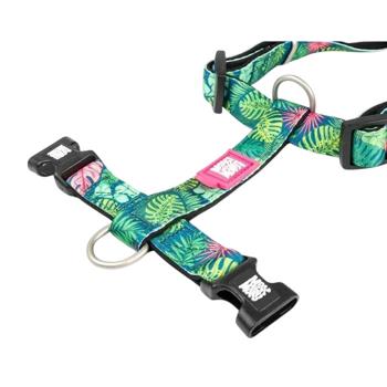 Leash Max and molly Germany - buy, prices for MasterZoo - photo 3