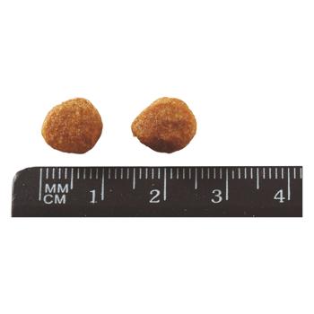 Purina One Indoor Dry Food with Turkey for Indoor Сats 800g - buy, prices for METRO - photo 4