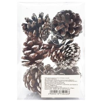 Set of Natural Pine Cones with White Tips 6pcs - buy, prices for - photo 3