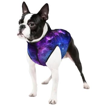 Курточка для собак Waudog Clothes р.XS22 з малюнком Nasa21 - купити, ціни на MasterZoo - фото 2