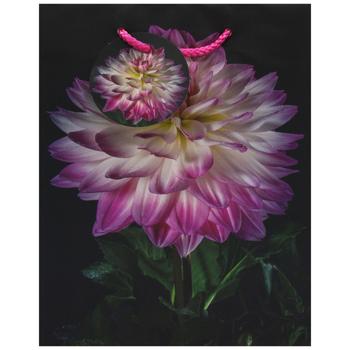 Art Studio of Happines GB-24126 Gift Bag 18х23х10cm - buy, prices for EKO Market - photo 1