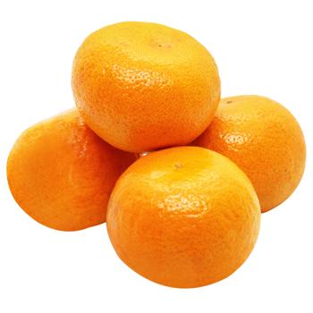 Mandarin Egypt - buy, prices for COSMOS - photo 1