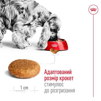 Royal Canin Dry Food with Poultry for Adult Dogs of Medium Breeds 15kg - buy, prices for MasterZoo - photo 3