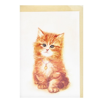 Kinza Greeting card FZ002 - buy, prices for NOVUS - photo 1