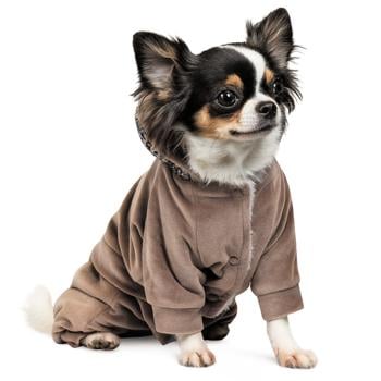 Pet Fashion Soft Suit for Dogs s.XS2 - buy, prices for MasterZoo - photo 6