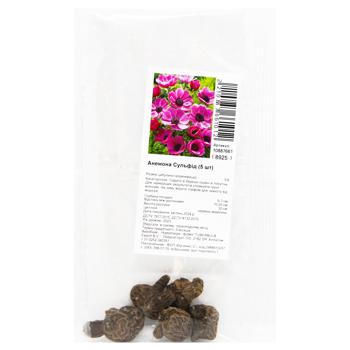 Anemone Sylphide Bulbotuber 5pcs - buy, prices for - photo 4