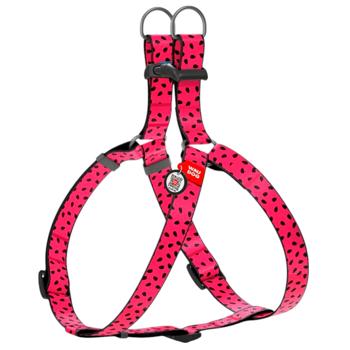 Leash "collar company" llc Ukraine - buy, prices for MasterZoo - photo 1