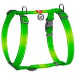 Leash Collar