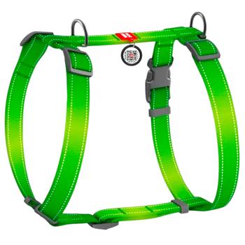 Leash Collar - buy, prices for MasterZoo - photo 1