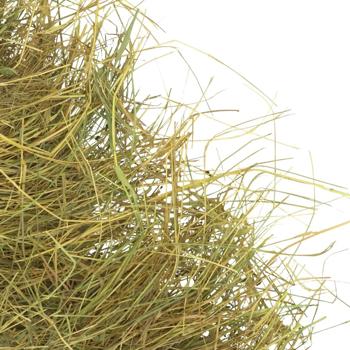 Мій Пухнастик відбірне сіно для гризунів 2 кг - купити, ціни на MasterZoo - фото 2