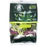 Greens lollo frisee Puchok-svizhachok spinach fresh 90g Ukraine