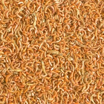 Tetra ReptoMin Mix Gammarus сухий корм для водних черепах 250 мл - купить, цены на MasterZoo - фото 2
