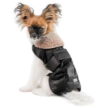 Попона для собак Pet Fashion Ted р.L - купити, ціни на MasterZoo - фото 2