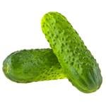 Gherkin Cucumber Import ~20cm