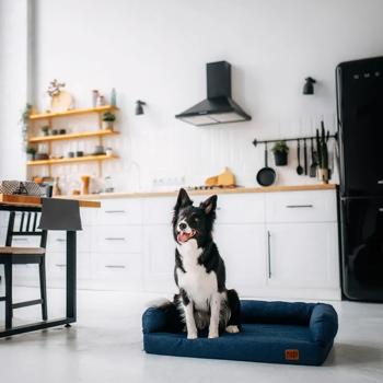 Софа Noble Pet London 80х60х22см синий - купить, цены на MasterZoo - фото 4