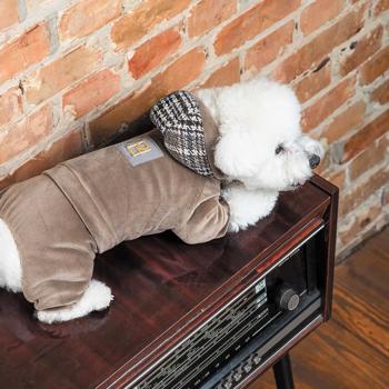 Костюм для собак Pet Fashion «Soft» XS - купити, ціни на MasterZoo - фото 6