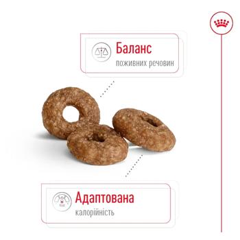 Корм сухий Royal Canin Mini Ageing 12+ для літніх собак 800г - купити, ціни на MasterZoo - фото 5
