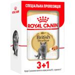 Корм вологий Royal Canin для котів породи британська короткошерста 3+1шт х 85г