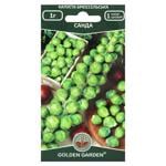 Golden Garden Sanda Brussels Sprouts Seeds 1g