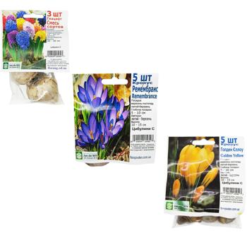 Цибулина C - купити, ціни на КОСМОС - фото 1